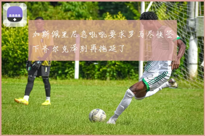 加斯佩里尼急吼吼要求罗马尽快签下齐尔克泽别再拖延了