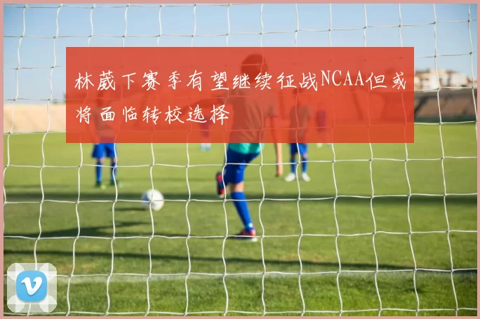 林葳下赛季有望继续征战NCAA但或将面临转校选择