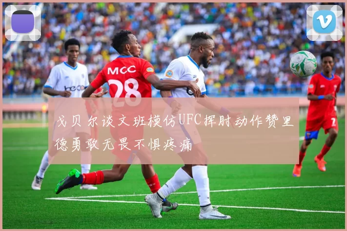 戈贝尔谈文班模仿UFC挥肘动作赞里德勇敢无畏不惧疼痛